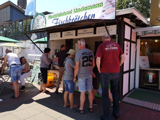 Tipo-Treffen Steinhuder Meer 2019