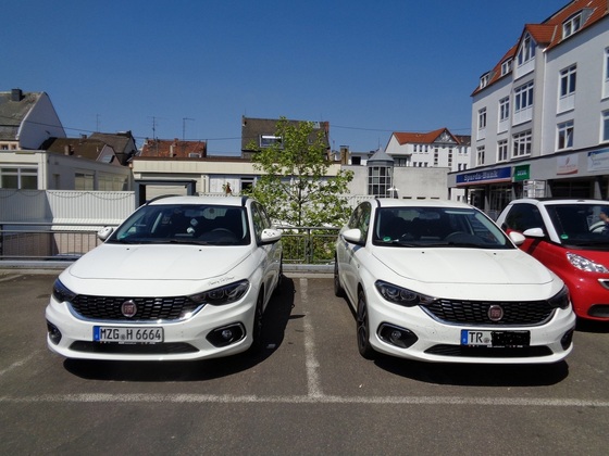Kleines Brüderchen