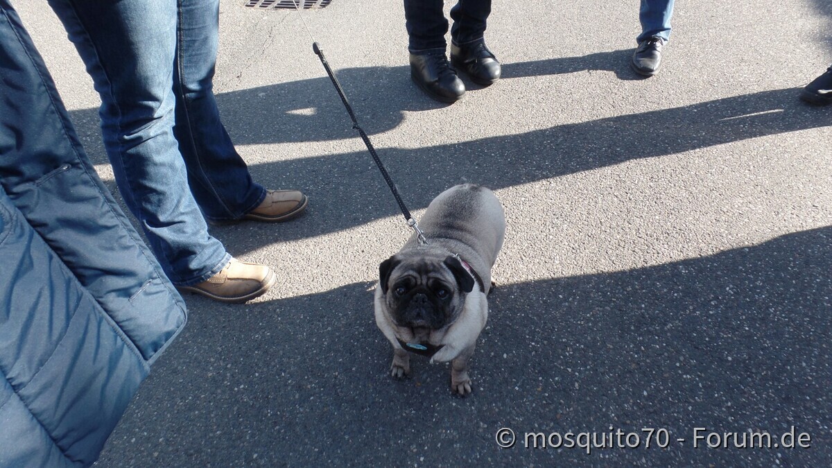 Tipo Treffen an der Classic Remise in Düsseldorf