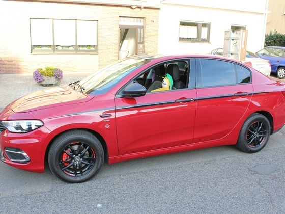 Flat Eric gefällt der Tipo