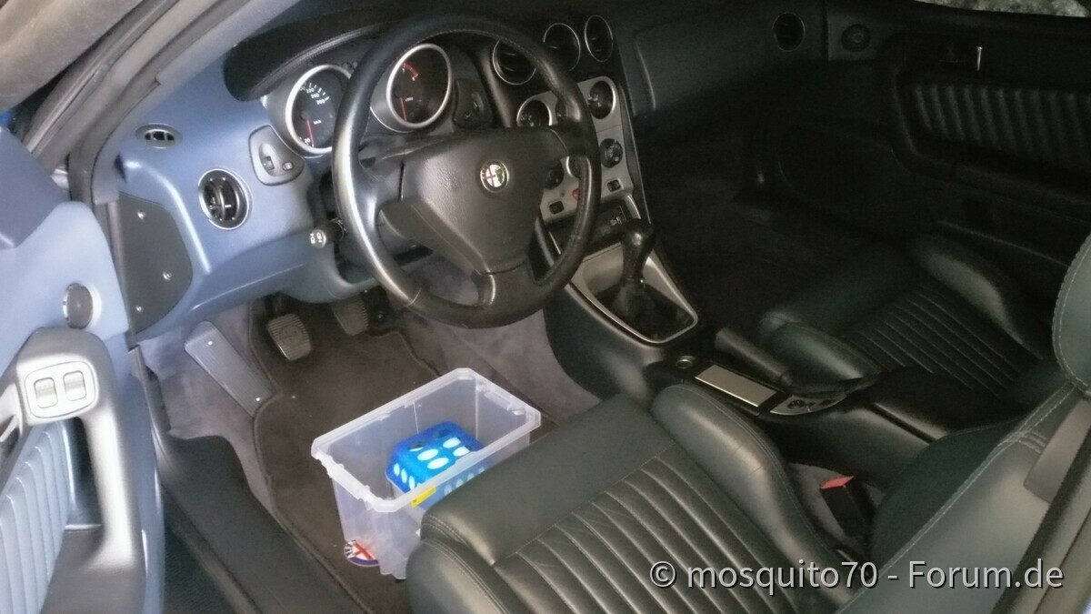 Meine Winterschläfer