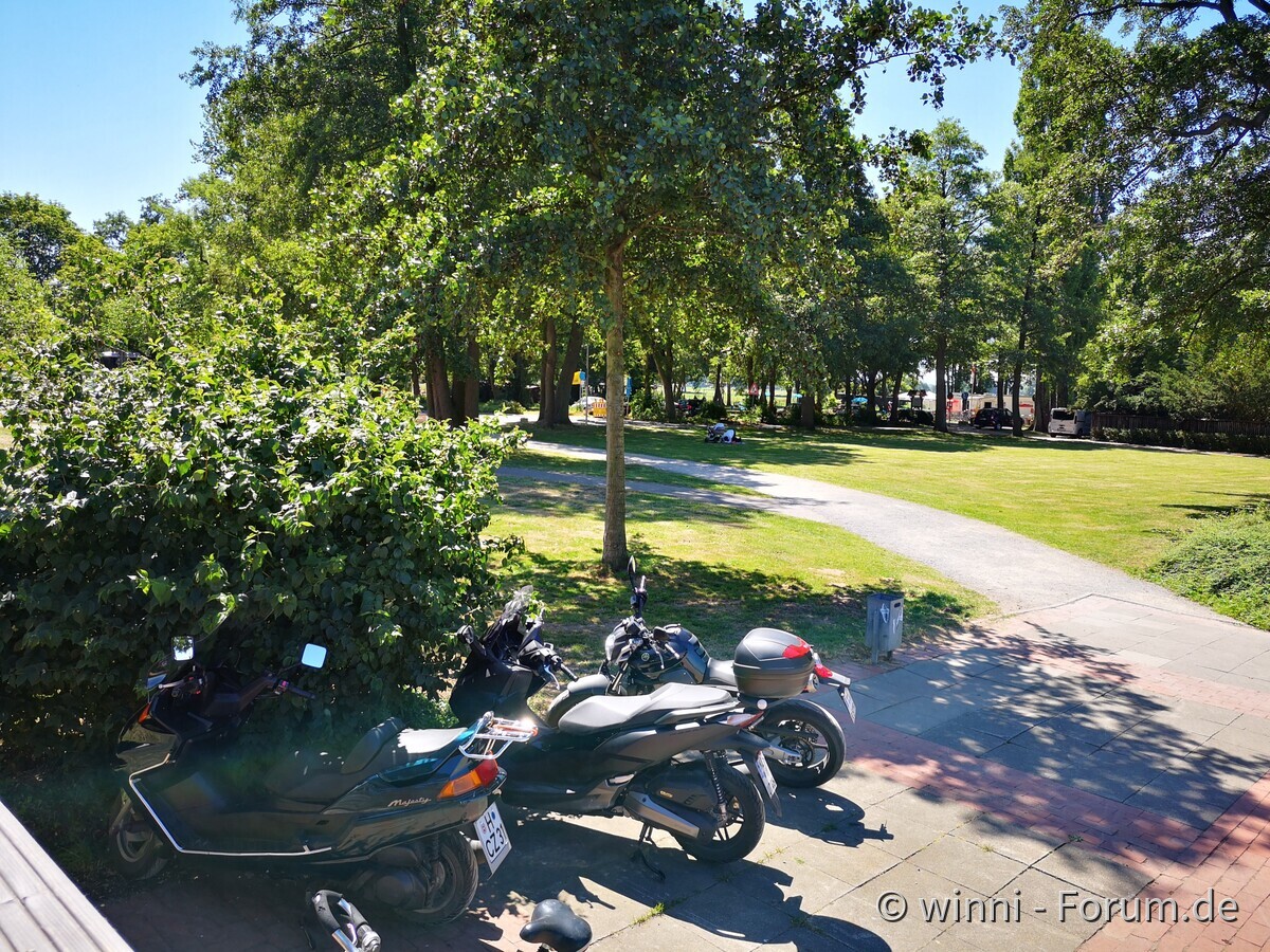 Tipo-Treffen Steinhuder Meer 2019