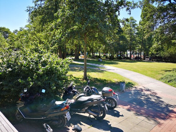 Tipo-Treffen Steinhuder Meer 2019